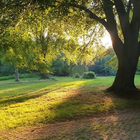 Im Wald Lejlighed