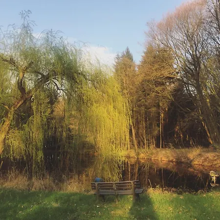 Appartement Im Wald *
