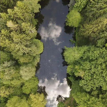 Im Wald * Geestland