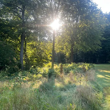 Lejlighed Im Wald